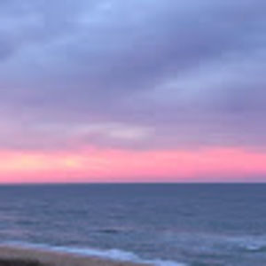 Meet your Posher, Ellen